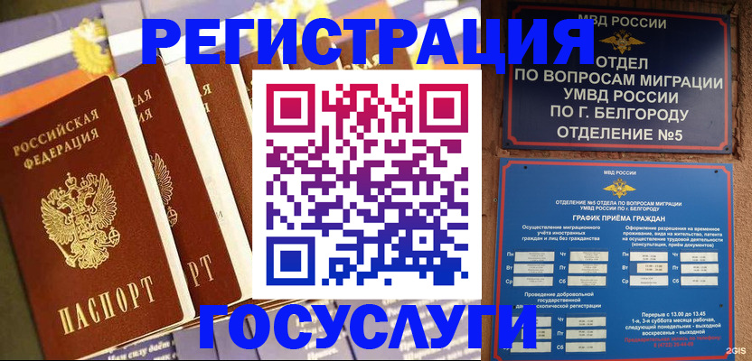 сопровождение миграционного учета в Кашине